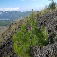 Photo de Bali - Le volcan